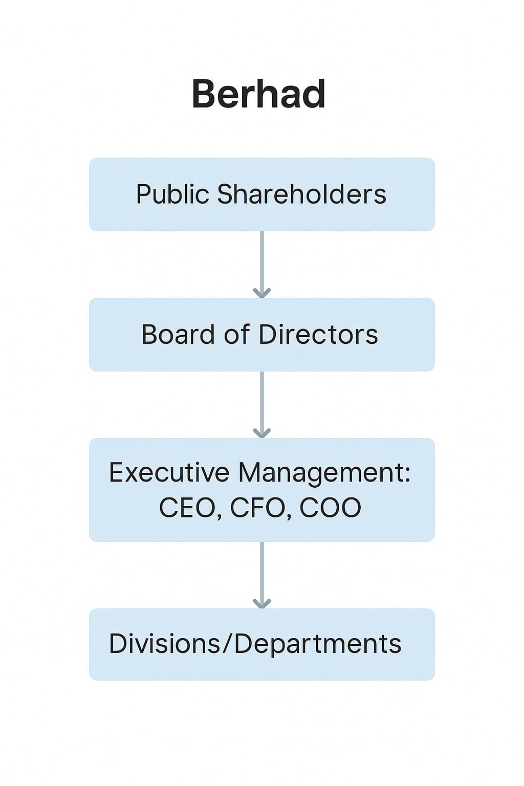 Public Limited Company (Berhad)